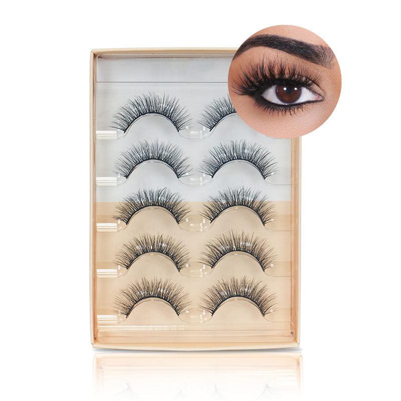 Beakey Natural False Eyelashes Wispy Fluffy Lashes Reusable Tapered End Technology Fake Lashes 5 Pairs (F05)
