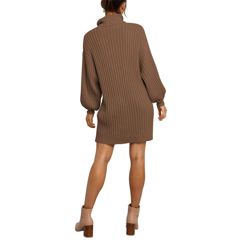 Beakey Womens Turtleneck Loose Sweater Dress Soft Winter Pullover Dress-Brown
