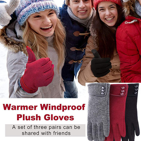 Beakey 3 Pairs Women Winter Gloves Warm Touchscreen Windproof Gloves-BlackGrayWine Red