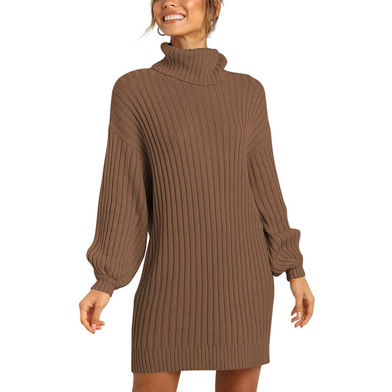 Beakey Womens Turtleneck Loose Sweater Dress Soft Winter Pullover Dress-Brown