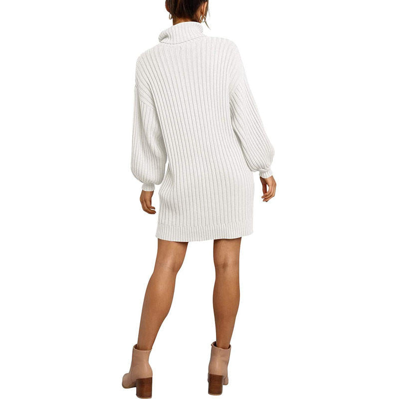 Beakey Womens Turtleneck Loose Sweater Dress Soft Winter Pullover Dress-White