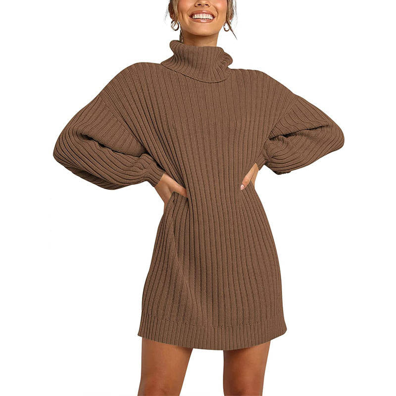 Beakey Womens Turtleneck Loose Sweater Dress Soft Winter Pullover Dress-Brown
