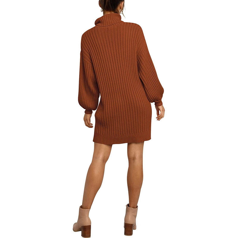 Beakey Womens Turtleneck Loose Sweater Dress Soft Winter Pullover Dress-Brick Red