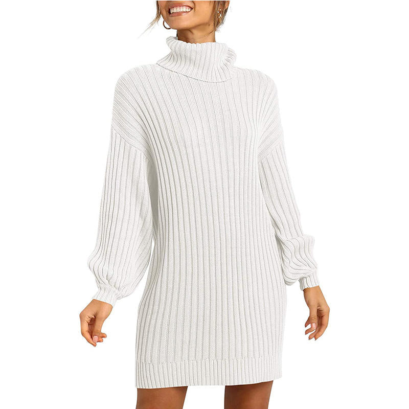 Beakey Womens Turtleneck Loose Sweater Dress Soft Winter Pullover Dress-White