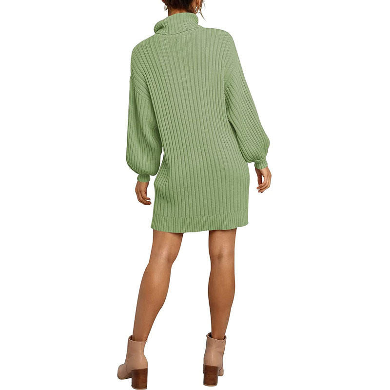 Beakey Womens Turtleneck Loose Sweater Dress Soft Winter Pullover Dress-Green