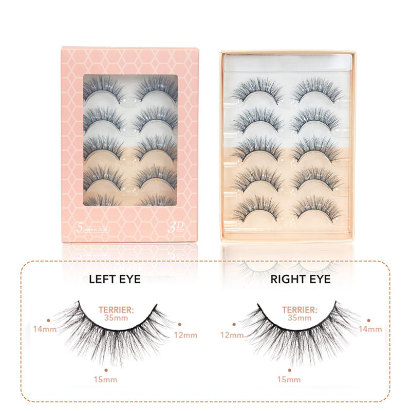 Beakey Natural False Eyelashes Wispy Fluffy Lashes Reusable Tapered End Technology Fake Lashes 5 Pairs (F02)