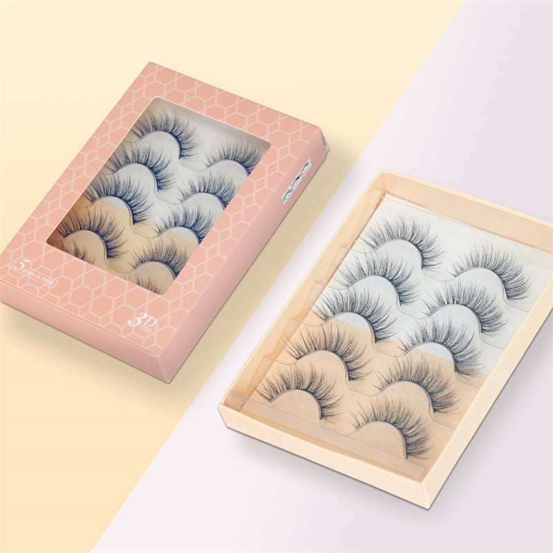 Beakey Natural False Eyelashes Wispy Fluffy Lashes Reusable Tapered End Technology Fake Lashes 5 Pairs (F02)