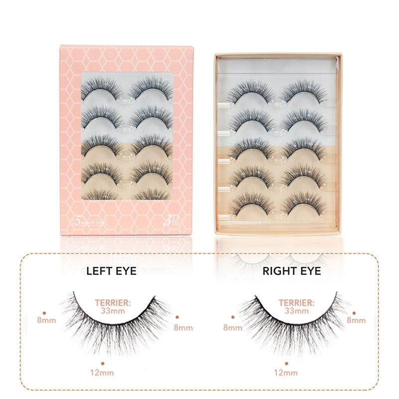 Beakey Natural False Eyelashes Wispy Fluffy Lashes Reusable Tapered End Technology Fake Lashes 5 Pairs (F05)